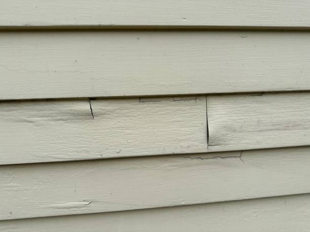 Best Property Management Cleanouts  in Mount Airy, NC